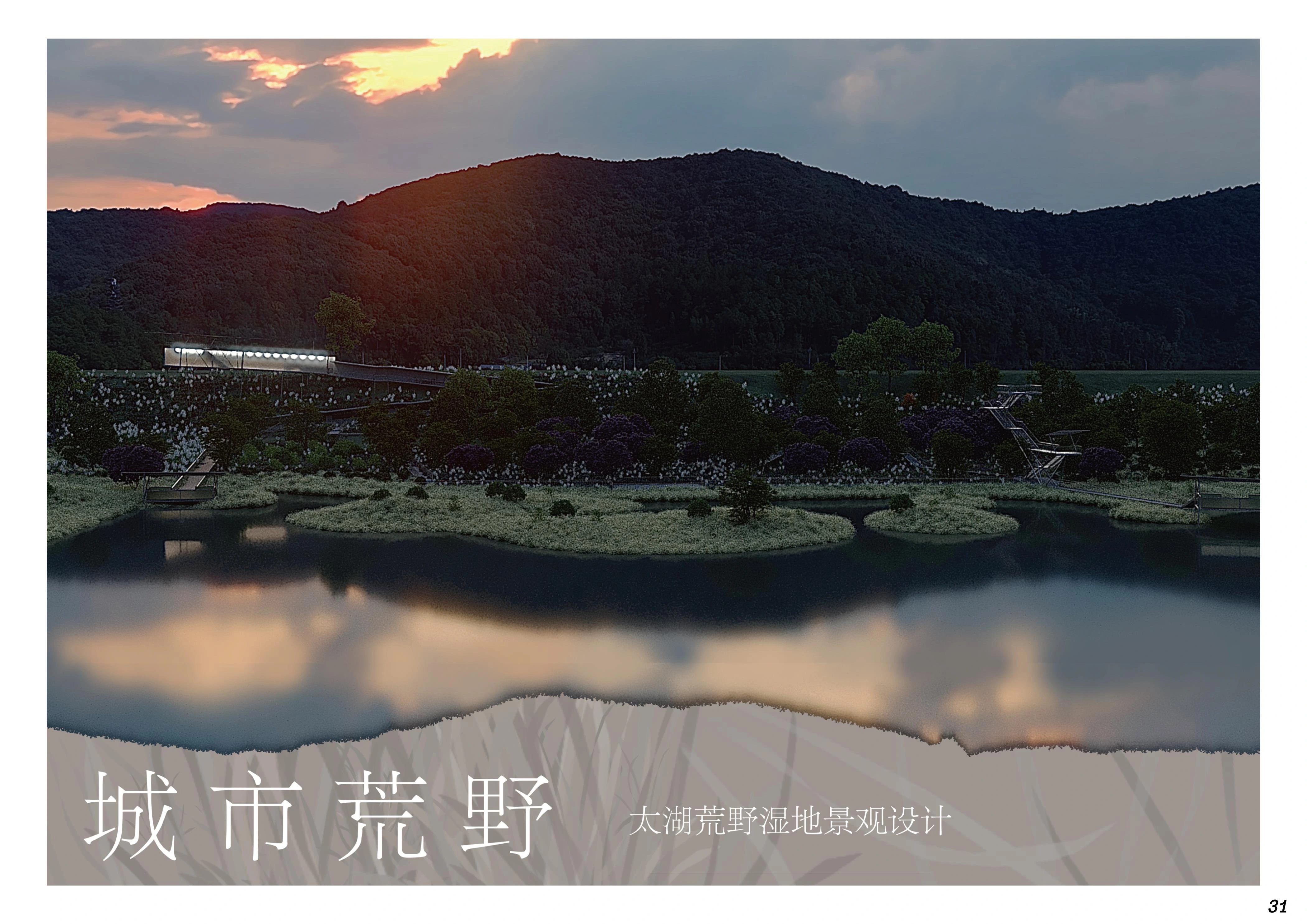 太湖湿地总体氛围